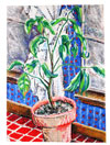 Title: Grapefruit Tree.  Acrylic on canvas.